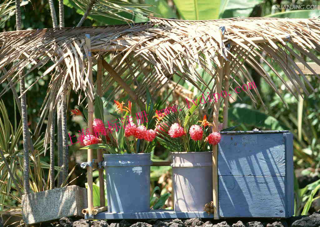 上海商標(biāo)注冊(cè) 上海商標(biāo)注冊(cè)